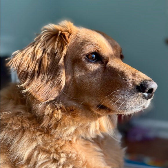 Meet your Posher - Picture 1 of 1